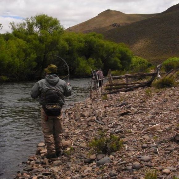 Meet your Posher, Jimmy - Picture 1 of 1